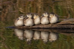 爱游戏app活动-体育文化创意活动点燃城市活力，体育文化活动策划方案3000字