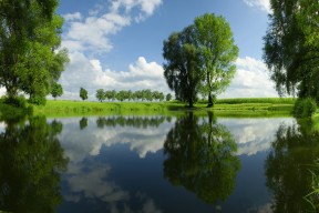 爱游戏app下载-自由泳德国短板正逐步弥补，自由泳2021