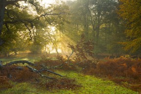 爱游戏ayx-新疆男篮积极备战强敌提升防守韧性，新疆男篮最新