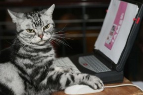 爱游戏app注册-意甲极限对抗：攻守转换精彩纷呈，意甲身体对抗