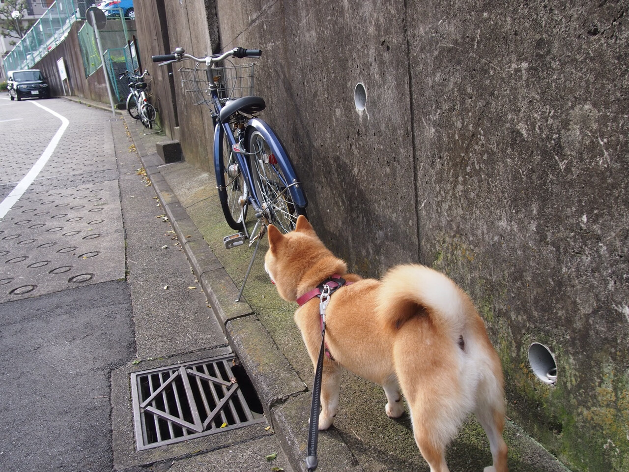 中国足球比赛中长传战术使用率，中国足球比赛中长传战术使用率最高的是