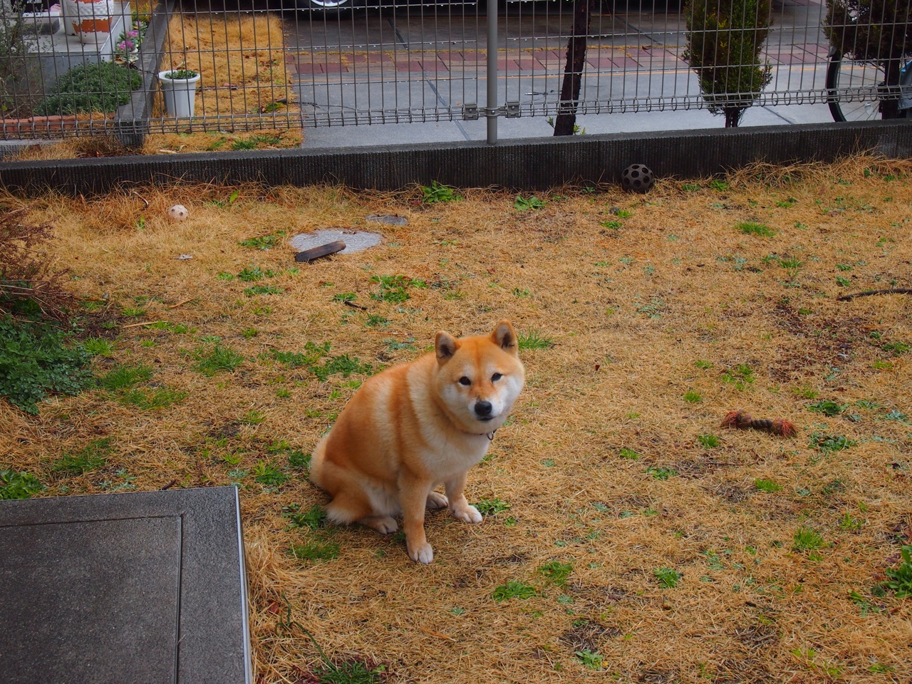 体育科研成果转化项目,体育科研成果转化项目怎么写