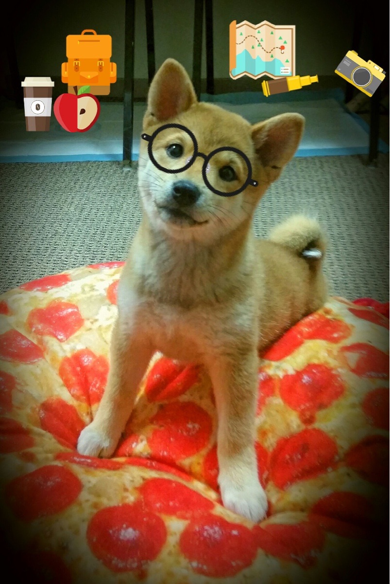 法甲“皇室争霸”:巴黎遭遇强敌,争冠形势严峻