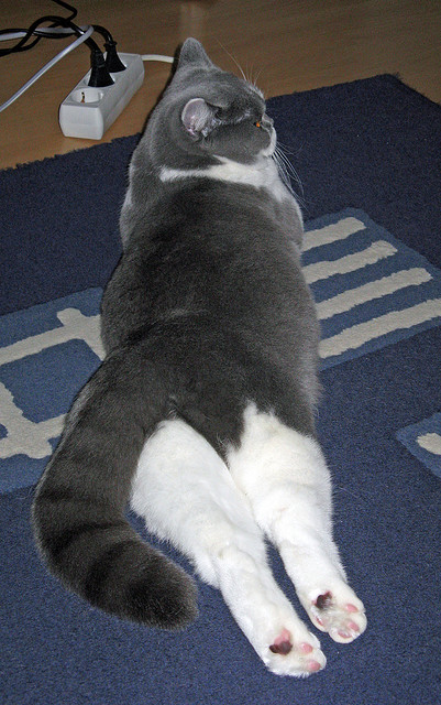 中国男篮全队积极备战国际赛事,中国男篮队比赛