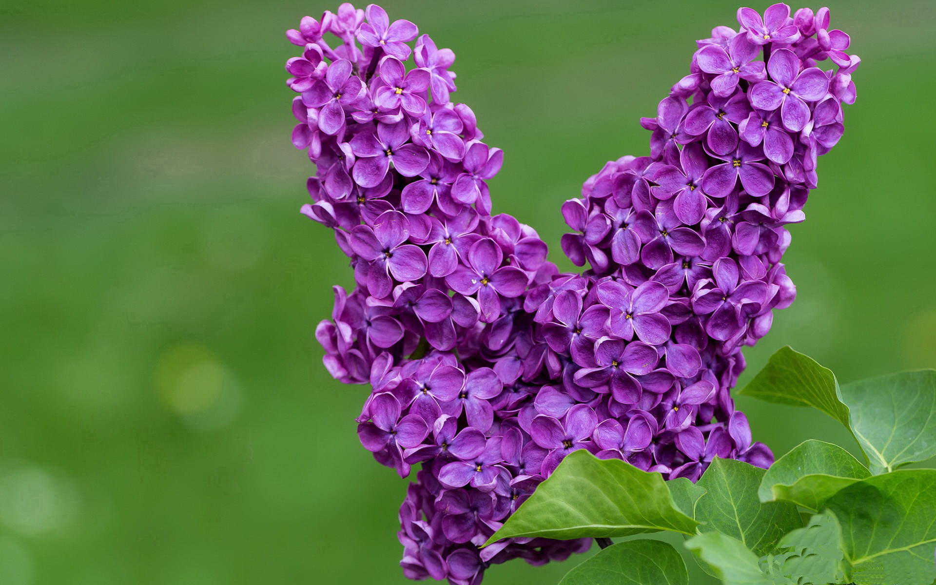 体育产业投资者峰会聚焦发展新机遇，体育产业资讯